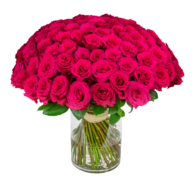 kytice růžových růží